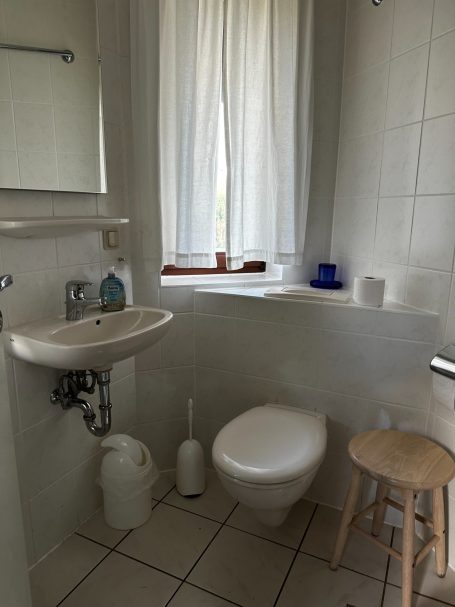 Ferienhaus Lotz Wohnung Maximus Badezimmer 12