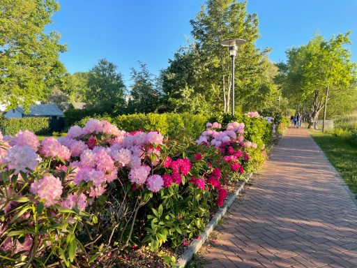 Frühling in Putbus