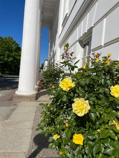Frühling in Putbus