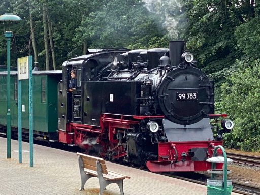 Der rasende Roland